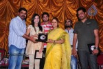 It's My Love Story Movie Platinum Disc Function - 82 of 83
