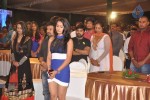 Jabilli Kosam Akasamalle Audio Launch 02 - 19 of 61