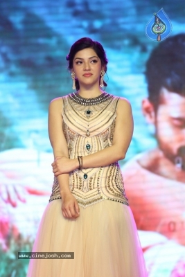 Jawaan Movie Audio and Pre Release Function - 26 of 33