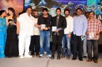 Julaayi Movie Audio Launch  - 17 of 63