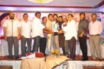 Julaayi Movie Double Platinum Disc Function - 32 of 116