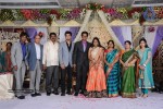 Kasi Viswanadam Son Marriage Reception Photos - 27 of 35