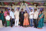 Kasi Viswanadam Son Marriage Reception Photos - 30 of 35
