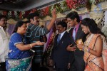 Kasi Viswanadam Son Marriage Reception Photos - 33 of 35