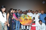 Kavvintha Movie Audio Launch - 3 of 145