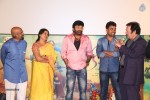 Kavvintha Movie Audio Launch - 31 of 145