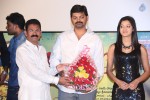 Kavvintha Movie Audio Launch - 92 of 145