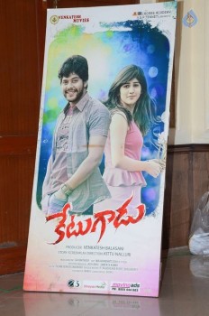 Ketugadu Platinum Disc Function - 30 of 38