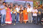 Kevvu Keka Movie Audio Launch - 213 of 289
