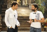 Khaleja Movie Working Stills - 2 of 9