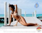 Kingfisher Calendar 2011 - 5 of 12