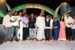 Komaram Puli Movie Audio Release - 30 of 247