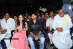 Komaram Puli Movie Audio Release - 58 of 247