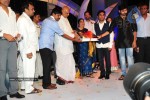 Komaram Puli Movie Audio Release - 109 of 247