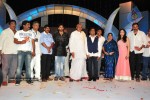 Komaram Puli Movie Audio Release - 221 of 247