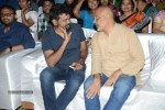 Kotha Janta Audio Launch 01 - 29 of 149