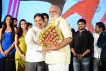 Kotha Janta Audio Launch 02 - 40 of 260