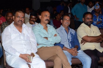 Kotikokkadu Audio Launch 1 - 34 of 42