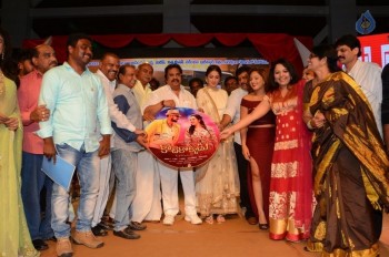 Kotikokkadu Audio Launch 2 - 54 of 63