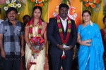 Kottai Perumal Son Wedding Reception - 3 of 55