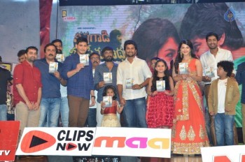 Krishna Gadi Veera Premagaadha Audio 3 - 12 of 63