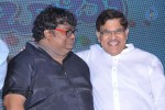 Laddu Babu Movie Audio Launch 02 - 32 of 113