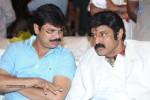 Legend Movie 50 Days Success Meet 01 - 48 of 147