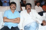 Legend Movie 50 Days Success Meet 01 - 58 of 147