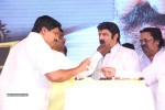 Legend Movie 50 Days Success Meet 01 - 62 of 147