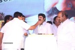 Legend Movie 50 Days Success Meet 01 - 138 of 147