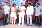 Legend Movie 50 Days Success Meet 02 - 52 of 128