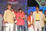 Lion Movie Audio Launch 04 - 13 of 112
