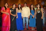 Lion Movie Success Meet 02 - 31 of 64