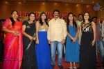 Lion Movie Success Meet 02 - 50 of 64