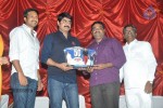 Loukyam 50 days Function - 142 of 168