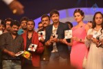 Loukyam Movie Audio Launch 02 - 187 of 205