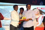 Loukyam Success Meet at Vizag - 24 of 641
