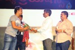 Loukyam Success Meet at Vizag - 158 of 641