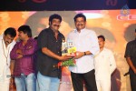 Loukyam Success Meet at Vizag - 160 of 641