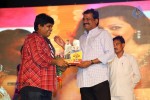 Loukyam Success Meet at Vizag - 164 of 641