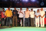 Loukyam Success Meet at Vizag - 166 of 641