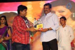 Loukyam Success Meet at Vizag - 209 of 641