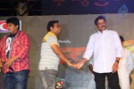Loukyam Success Meet at Vizag - 593 of 641