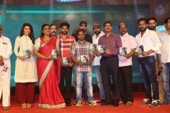 Maa Abbayi Audio Launch 2 - 30 of 84
