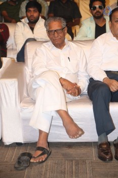 Maa Abbayi Audio Launch 2 - 57 of 84