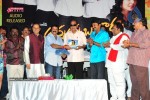 Maa Annayya Bangaram Movie Audio Launch Photos - 85 of 86