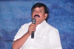 Maa Palle Repallantaa Movie Audio Launch - 2 of 29