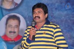 Maa Palle Repallantaa Movie Audio Launch - 23 of 29