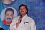Maa Palle Repallantaa Movie Audio Launch - 25 of 29