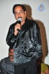 Madhura Meenakshi Movie Audio Launch - 28 of 40